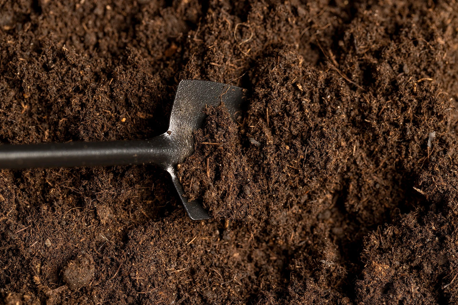 Garden & Landscaping