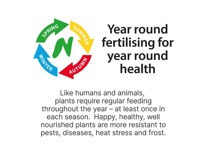 BOUNCE BACK FERTILISER 3:2: 2 20KG