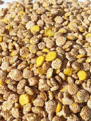 Grains