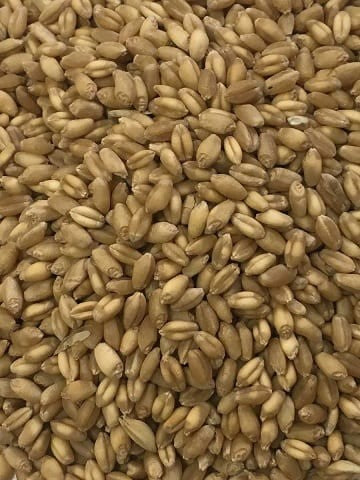 WHOLE WHEAT FARMER DIRECT 25KG