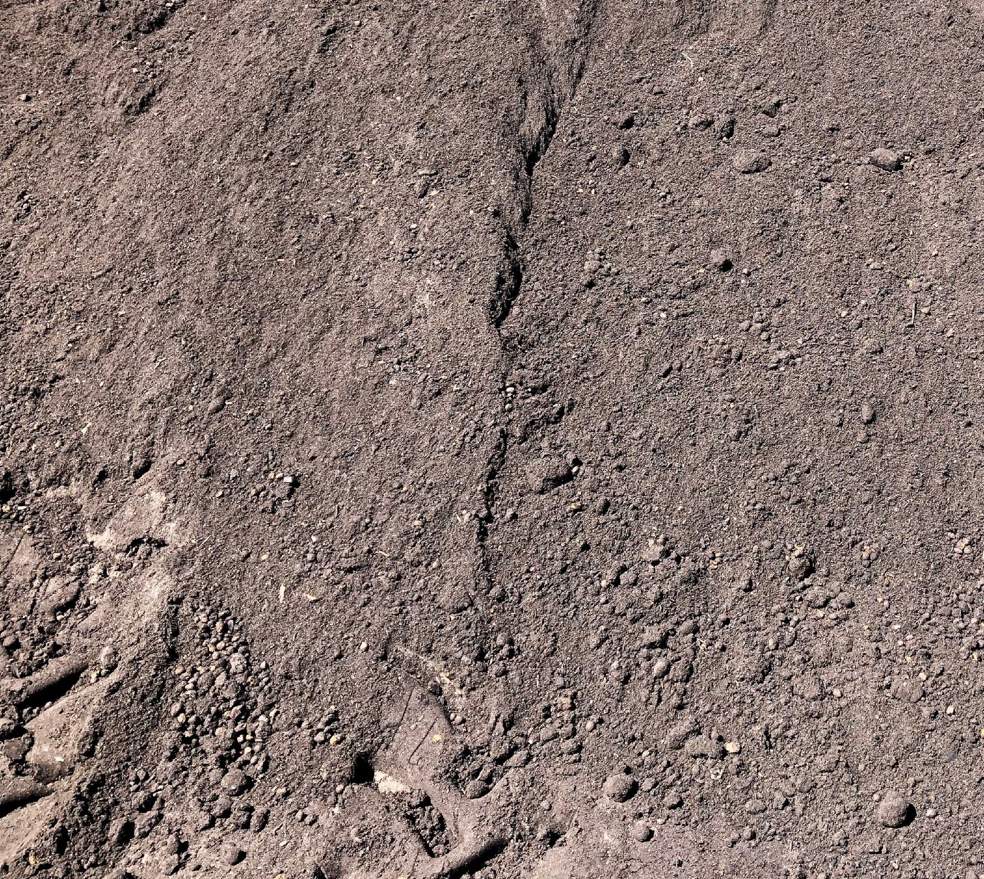 Sands & Soils - Per Scoop