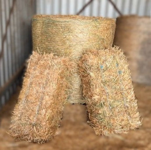 HAY OATEN K&S