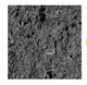 MULCH BLACK (PER SCOOP)