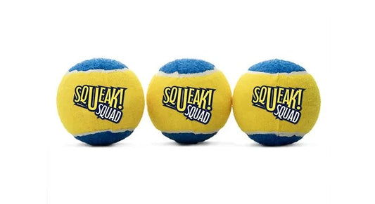 TOY TENNIS BALLS 3 PACK DOG TOY
