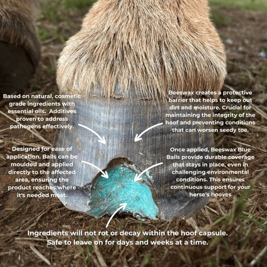 BEESWAX BLUE BALLS - SEEDY TOE & WHITE LINE DISTORTION 40 BALLS