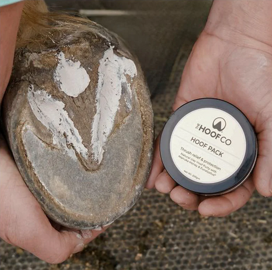 HOOF PACK - HOOF CLAY FOR THRUSH 200GRM