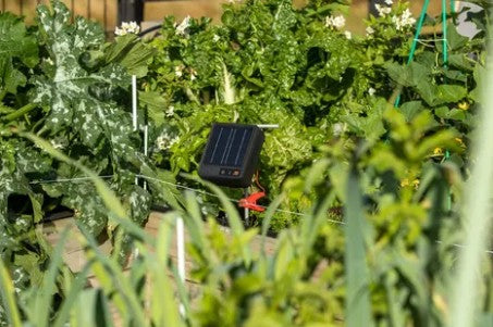 ENERGIZER LITHIUM SOLAR FENCE S6 GALLAGHER