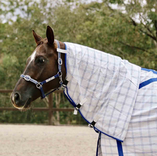 RUG DELUXE POLY COMBO BLUE CHECK