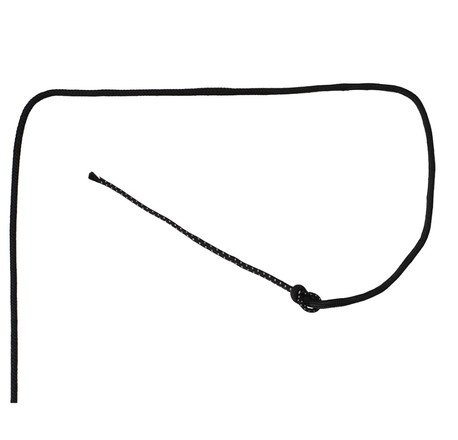 LUNGE WHIP BLACK 168CM