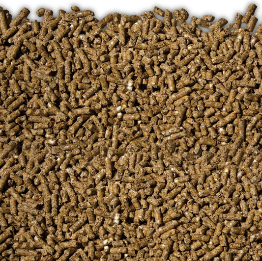 LAUCKE MILLS PULLET GROWER MP 20KG