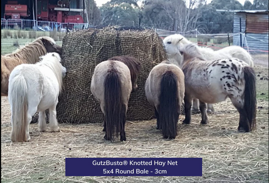 HAYNET GUTZBUSTA ROUND 30MM - DECELERATOR