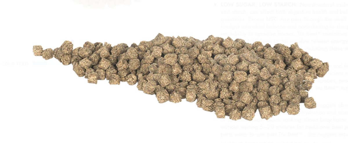 HYGAIN TRU BEET 20KG