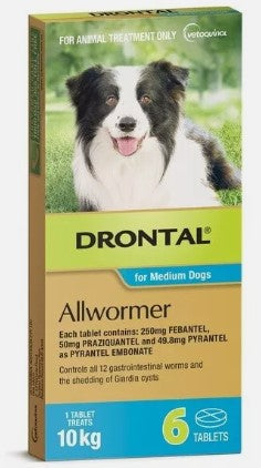 DRONTAL ALLWORMER MEDIUM DOG TABLETS 10KG 6PK