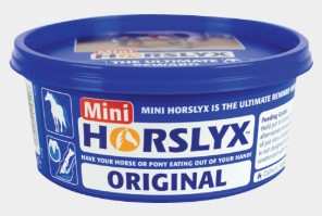 HORSLYX MINI VITAMIN & MINERAL LICK 650G