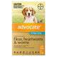 ADVOCATE DOG MEDIUM 4KG TO 10KG 3's AQUA