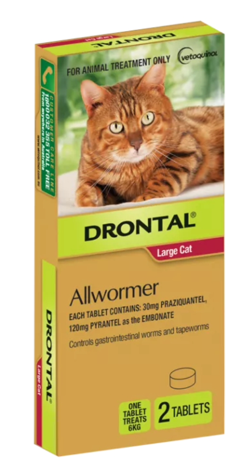 DRONTAL ALLWORMER CAT UP TO 6KG BAYER 2 PACK