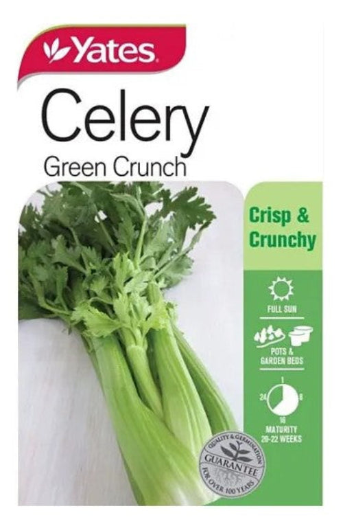 SEED - CELERY GREEN CRUNCH