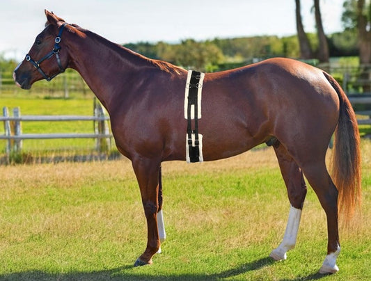 SURCINGLE TRAINING LUNGE ROLLER FULL