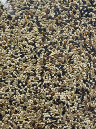 CANARY MIX