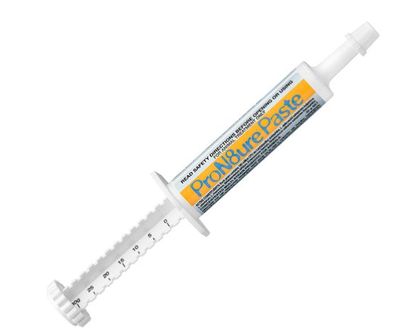 PRON8URE PROBIOTIC PASTE 30GRM