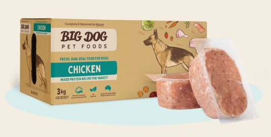 BIG DOG (12PACK) 3KG