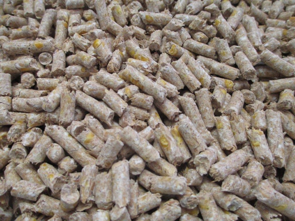 T&R HORSE CUBES SENIORS 20KG