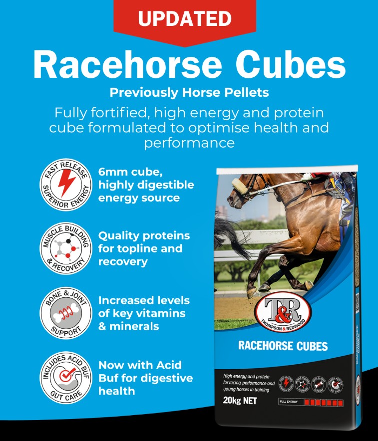 T&R RACE HORSE CUBES 20KG