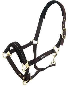 HALTER HORSE BAINBRIDGE