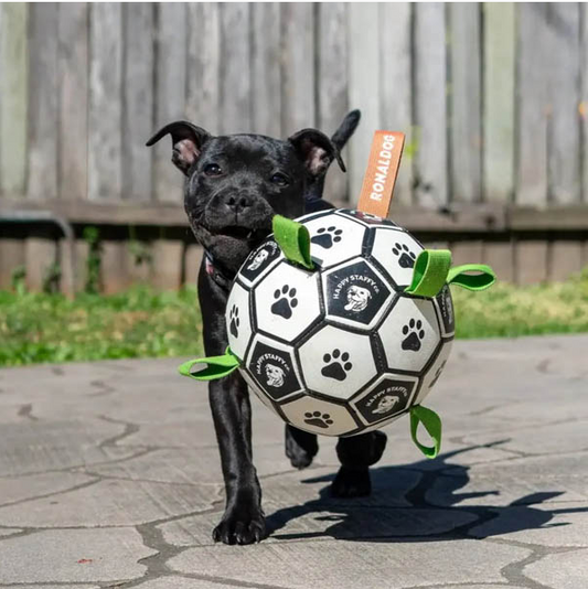 TOY RONALDOG SOCCER BALL