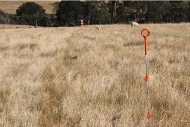 RING TOP POST EXTRA HEAVY DUTY MULTIWIRE GALLAGHER 875MM HIGH X 7MM