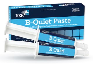 KER B-QUIET PASTE 30G TWIN PACK