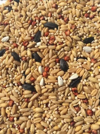 T&R SMALL PARROT MIX 25KG