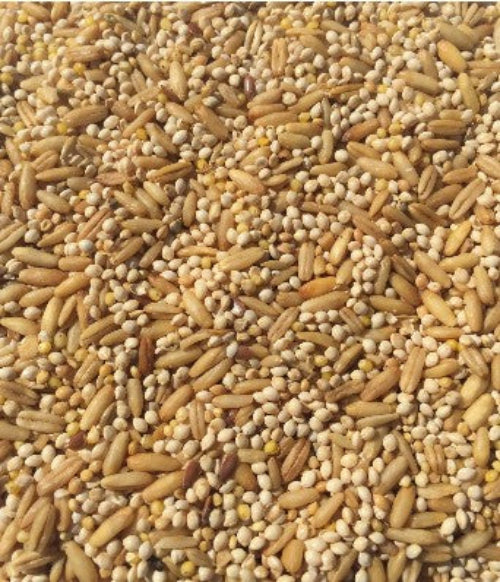 T&R BUDGIE MIX 25KG