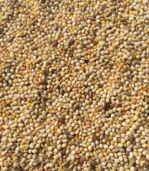T&R FINCH MIX