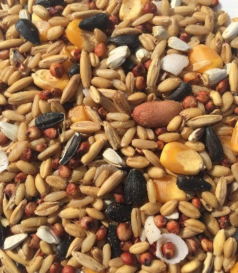 T&R LARGE PARROT MIX 25KG