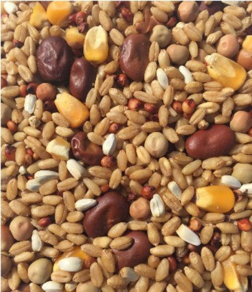 T&R PIGEON MIX 25KG