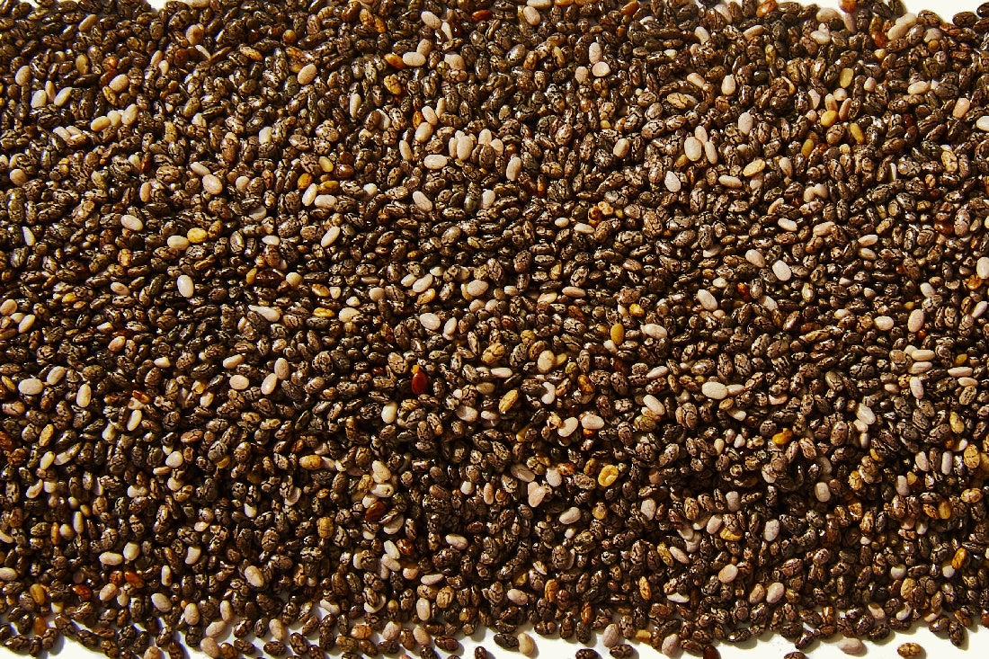 CHIA SEED EQUINE