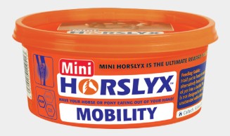 HORSLYX MINI VITAMIN & MINERAL LICK 650G [Opt:Mobility]