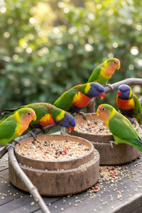 T&R SMALL PARROT MIX 25KG 