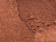 FERROCRETE 12MM (PER SCOOP)
