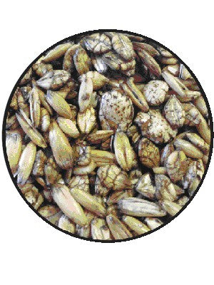 T&R CATTLE MUESLI 25KG