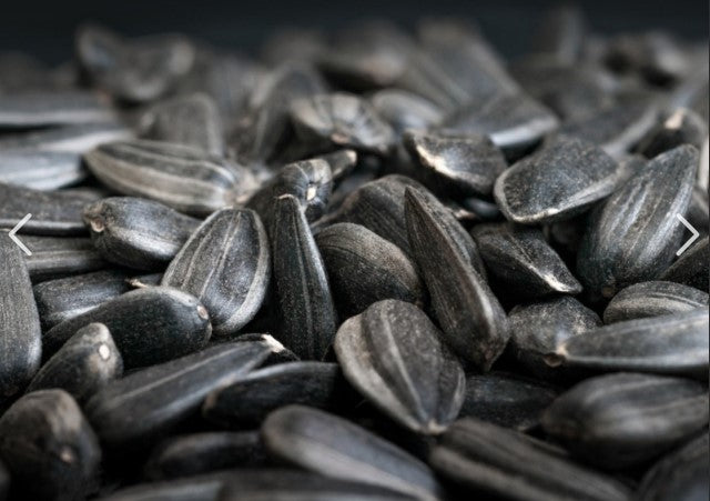 REPACK SUNFLOWER SEED BLACK [Size:5kg]