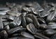 REPACK SUNFLOWER SEED BLACK [Size:5kg]