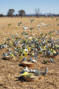 T&R BUDGIE MIX 25KG 