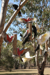 T&R LARGE PARROT MIX 25KG 