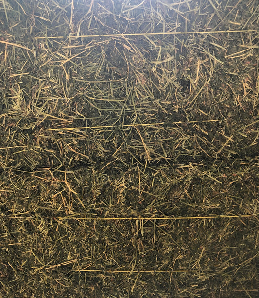 HAY LUCERNE BALE RM SMITH