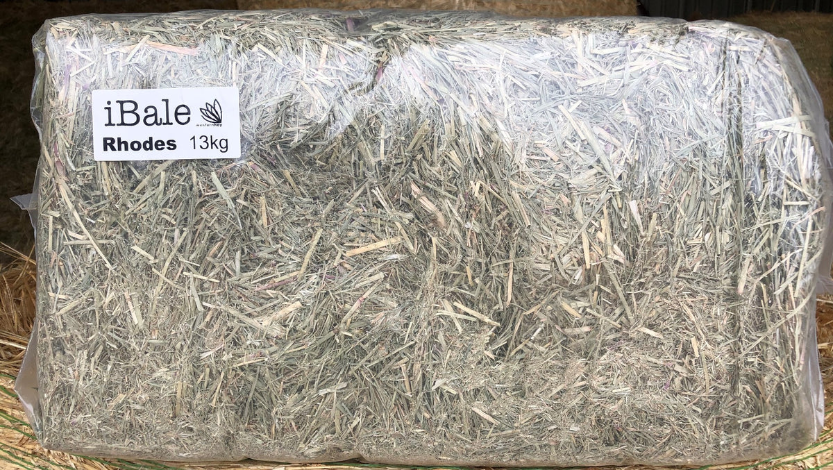 HAY RHODES GRASS IBALE 