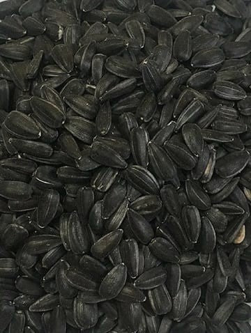 T&R SUNFLOWER SEED BLACK [Size:20kg]