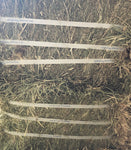 HAY COMPRESSED RHODES BALE