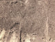 LANDSCAPE MIX (PER SCOOP)